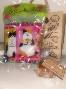 - 千葉メンズエステ ジャングルクリニック