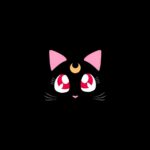 あいるです！